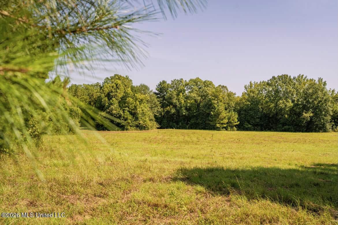 52.25± Acres in Copiah County, MS Near Hazlehurst