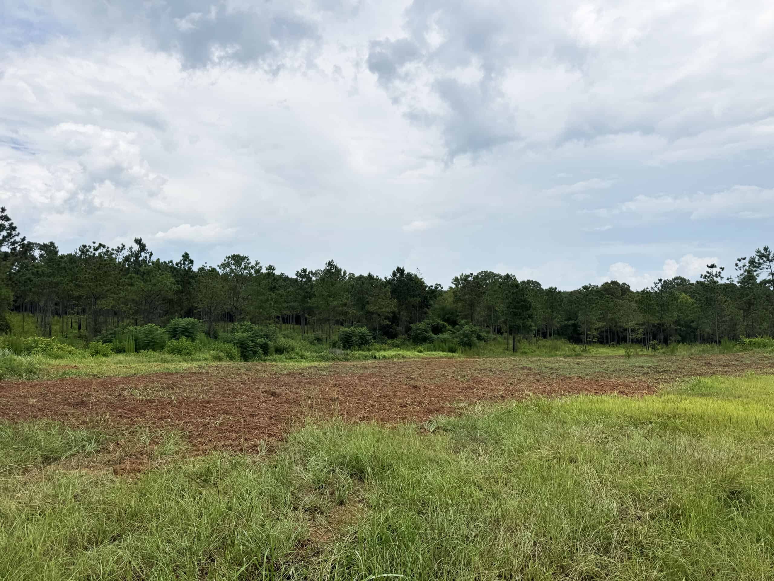 Discover an outstanding 130-acre recreational and hunting property in Stewart Cty