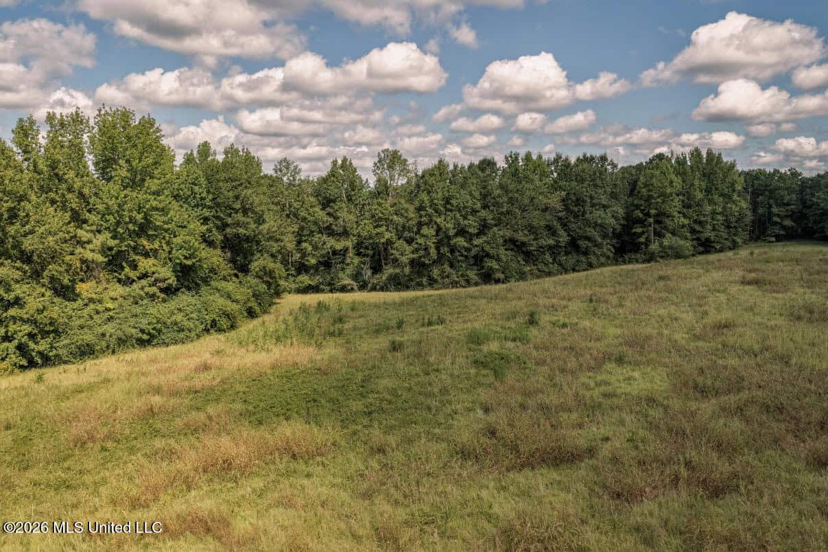HWY 49 Land for Sale Simpson County, MS