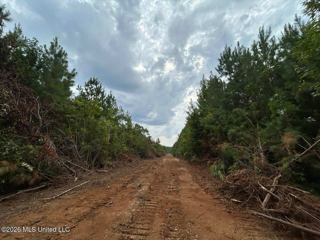 53± Acre Hunting Property Near Centreville, MS