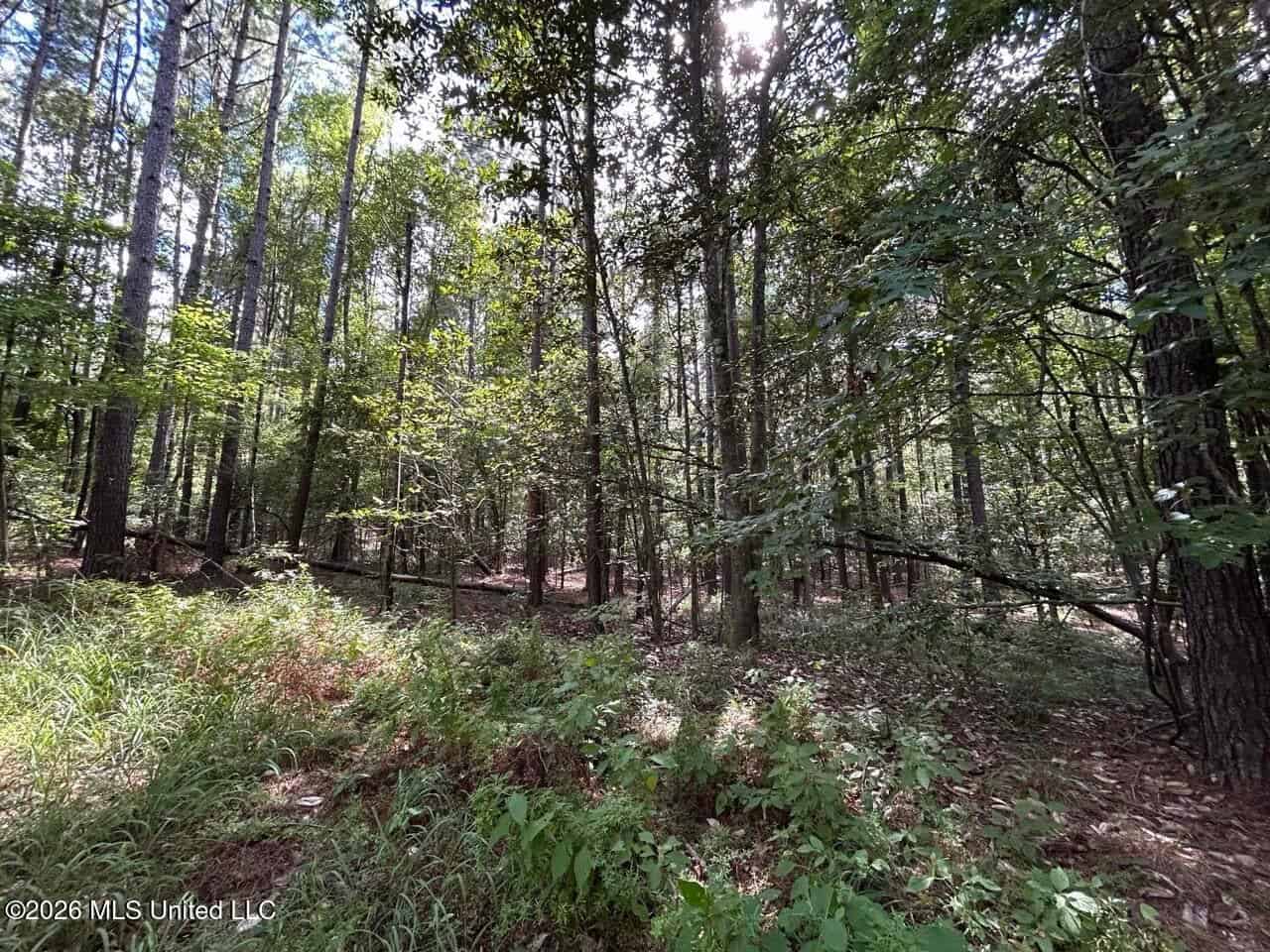FRANKLIN COUNTY LAND FOR SALE NEAR McCALL CREEK