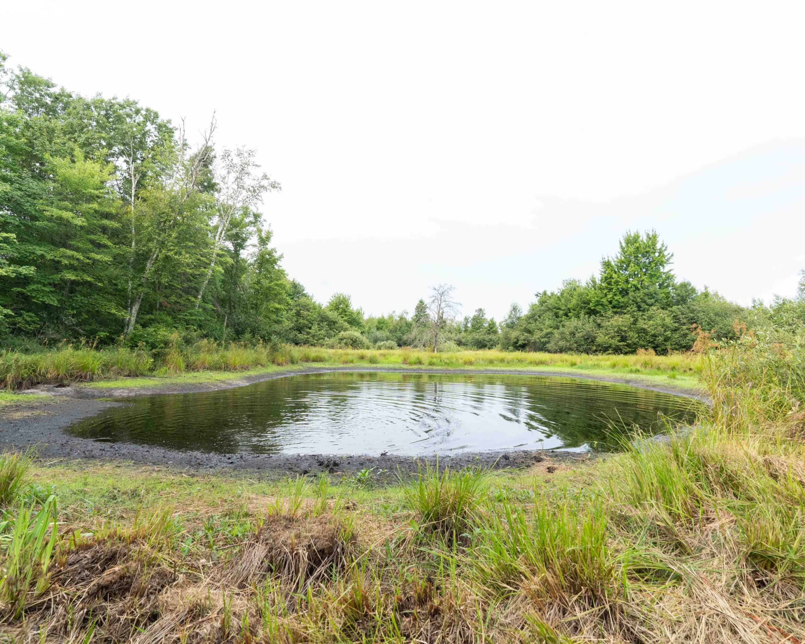 Juneau County WI 80 Acre Camp For Sale