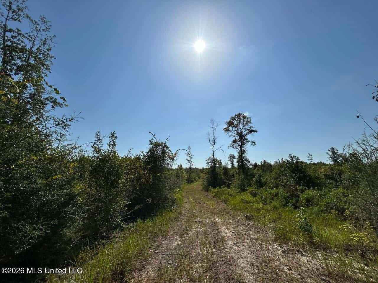 50± Acre Homesite & Hunting Land in Plainview, LA
