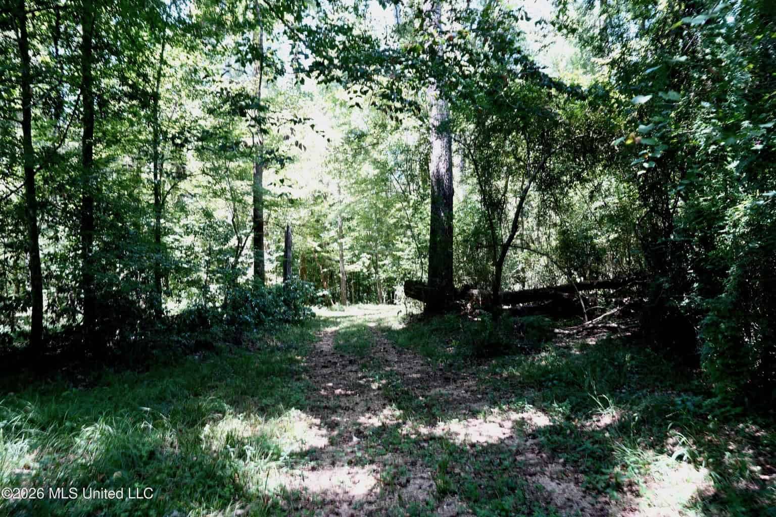 150 Acres for Sale in Magnolia MS on Tangipahoa River
