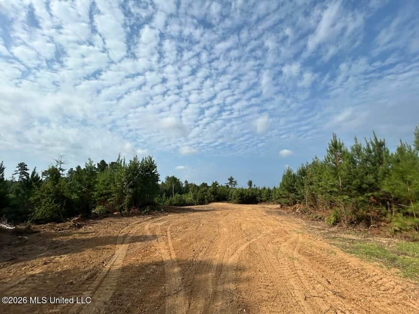 90± Acre Hunting Tract for Sale in Meadville, MS