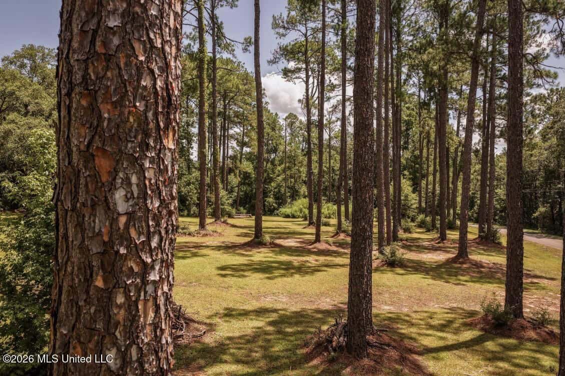 20 Acres for Sale Magnolia MS with Barn & Mature Timber