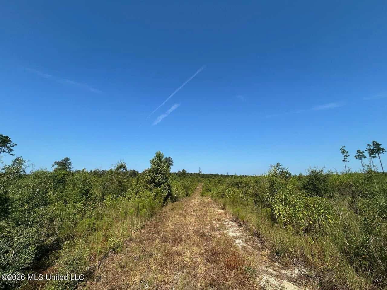 42± Acre Homesite & Hunting Land in Plainview, LA