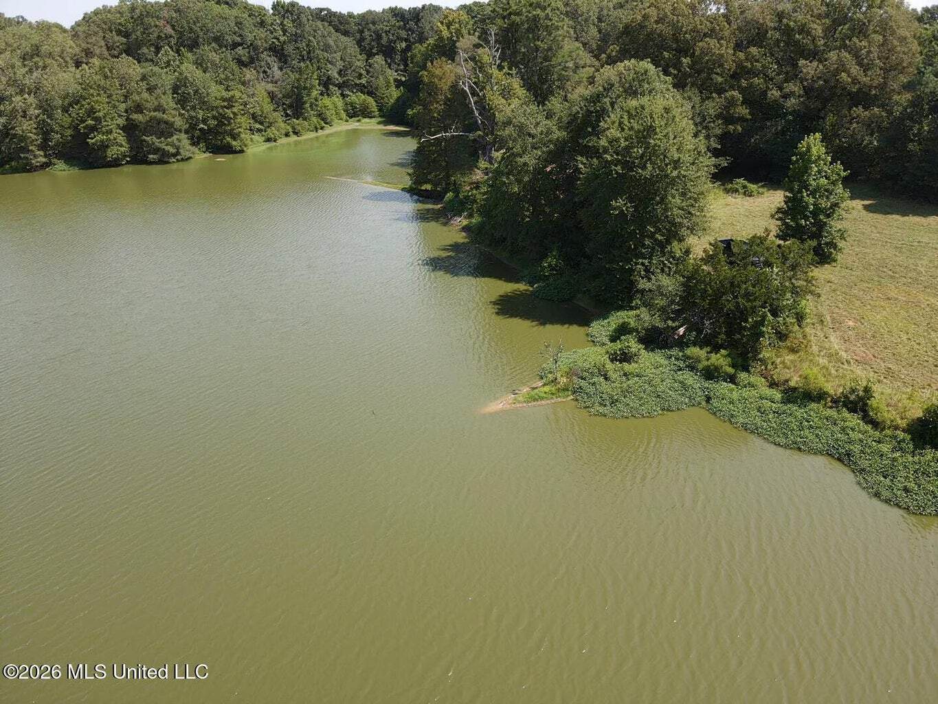 81-Acre Timber Property on 20-Acre Lake in Vaughan, MS