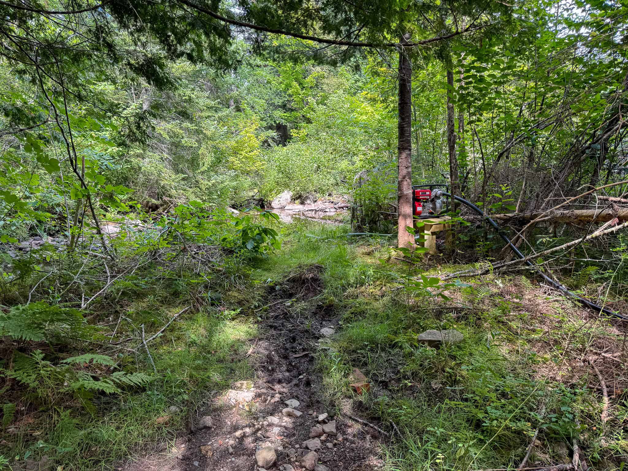 42.5 Acre Off-Grid Get Away – Springfield, Maine