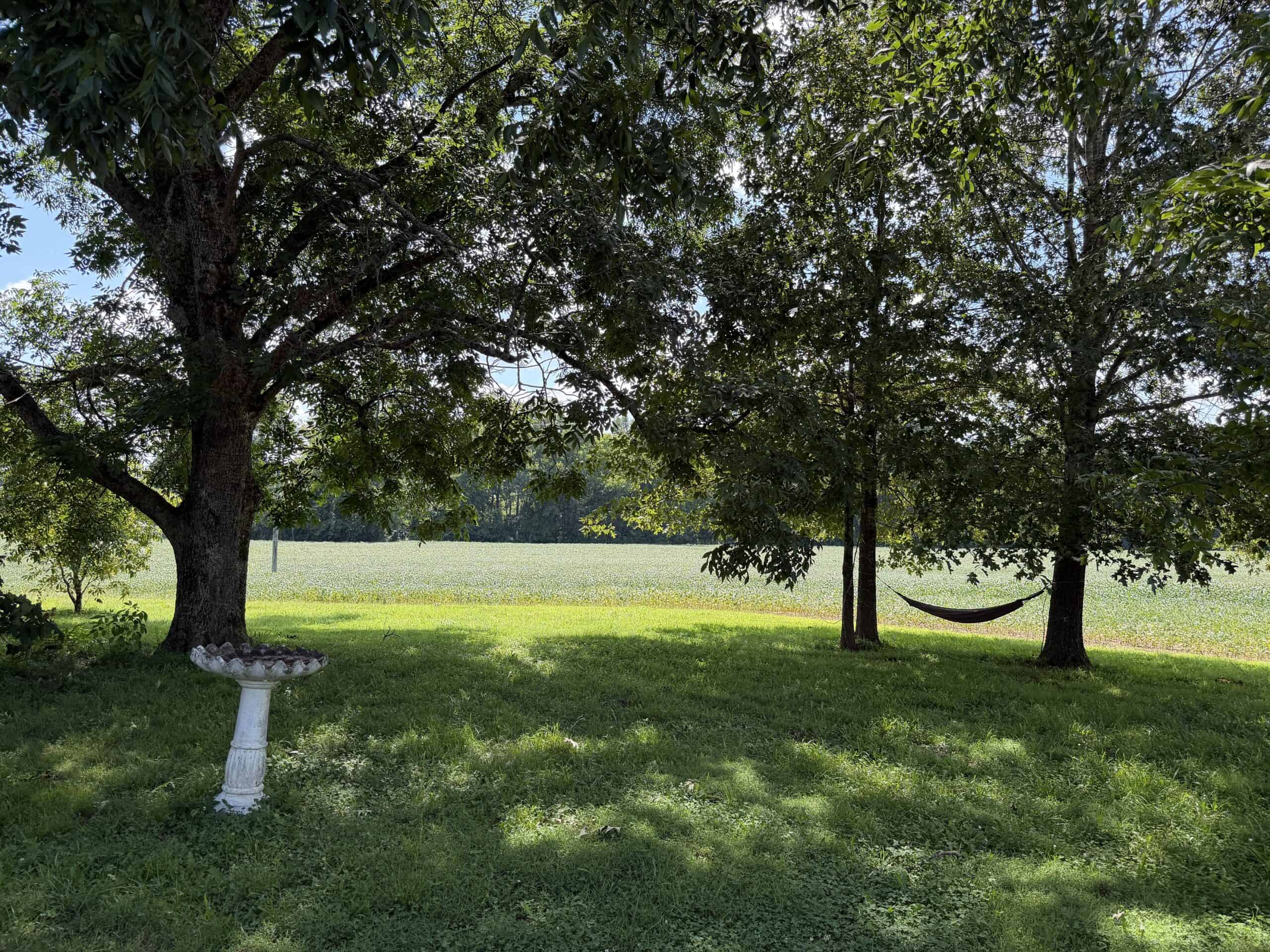 ESTATE FOR SALE IN TN, 56 AC, DEER & TURKEY HUNTING, CREEK, FIELDS, BARN