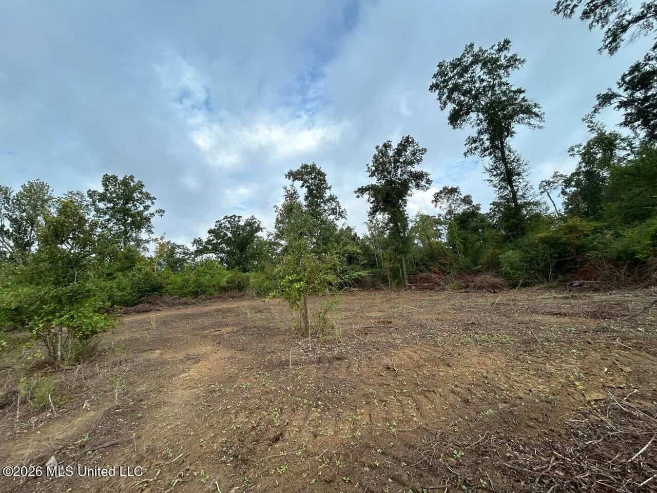82± Acre Hunting Property in Wilkinson County, MS