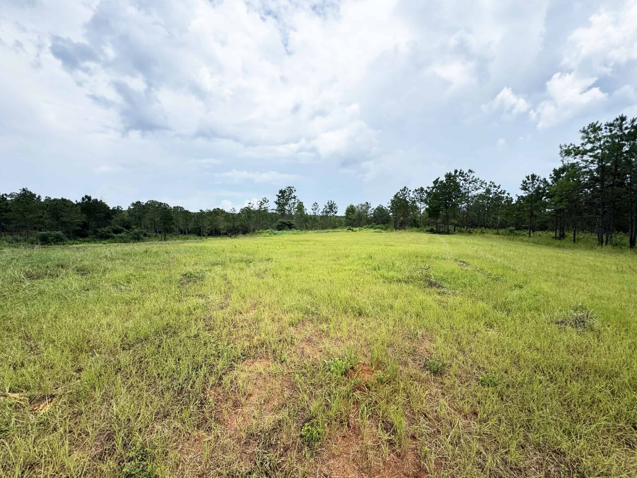 Discover an outstanding 130-acre recreational and hunting property in Stewart Cty