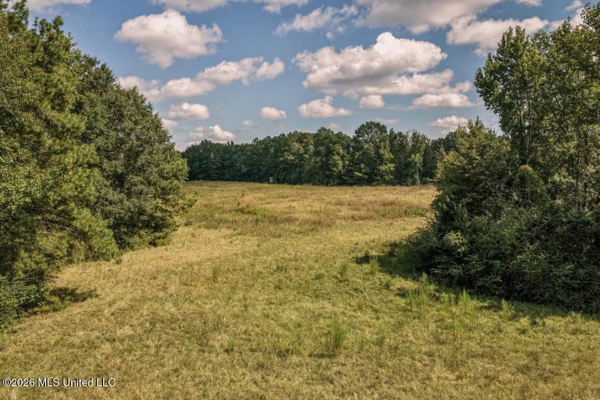 HWY 49 Land for Sale Simpson County, MS