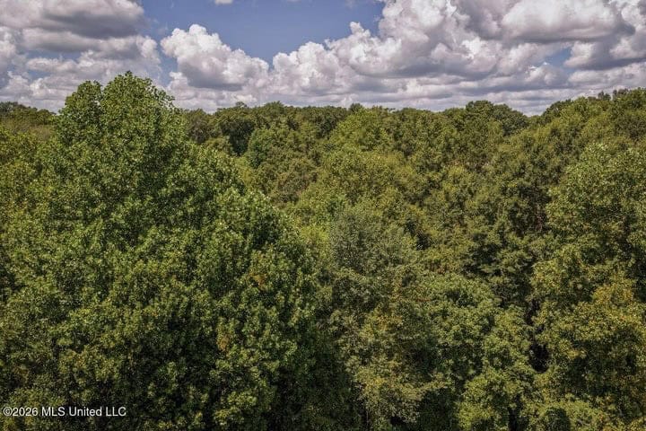 31 Acres for Sale Near Collins MS | Mature Timber & Hunting