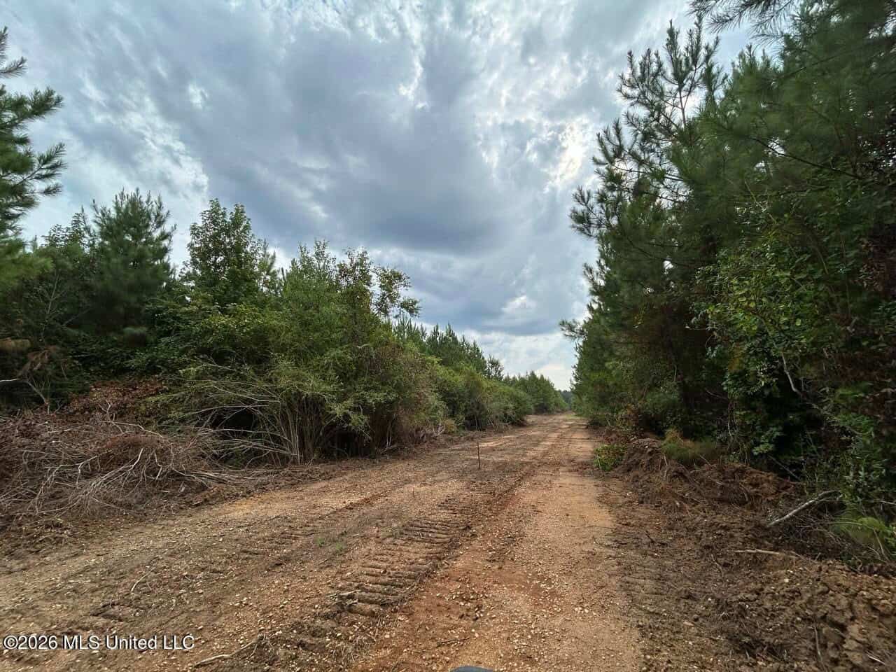 53± Acre Hunting Property Near Centreville, MS
