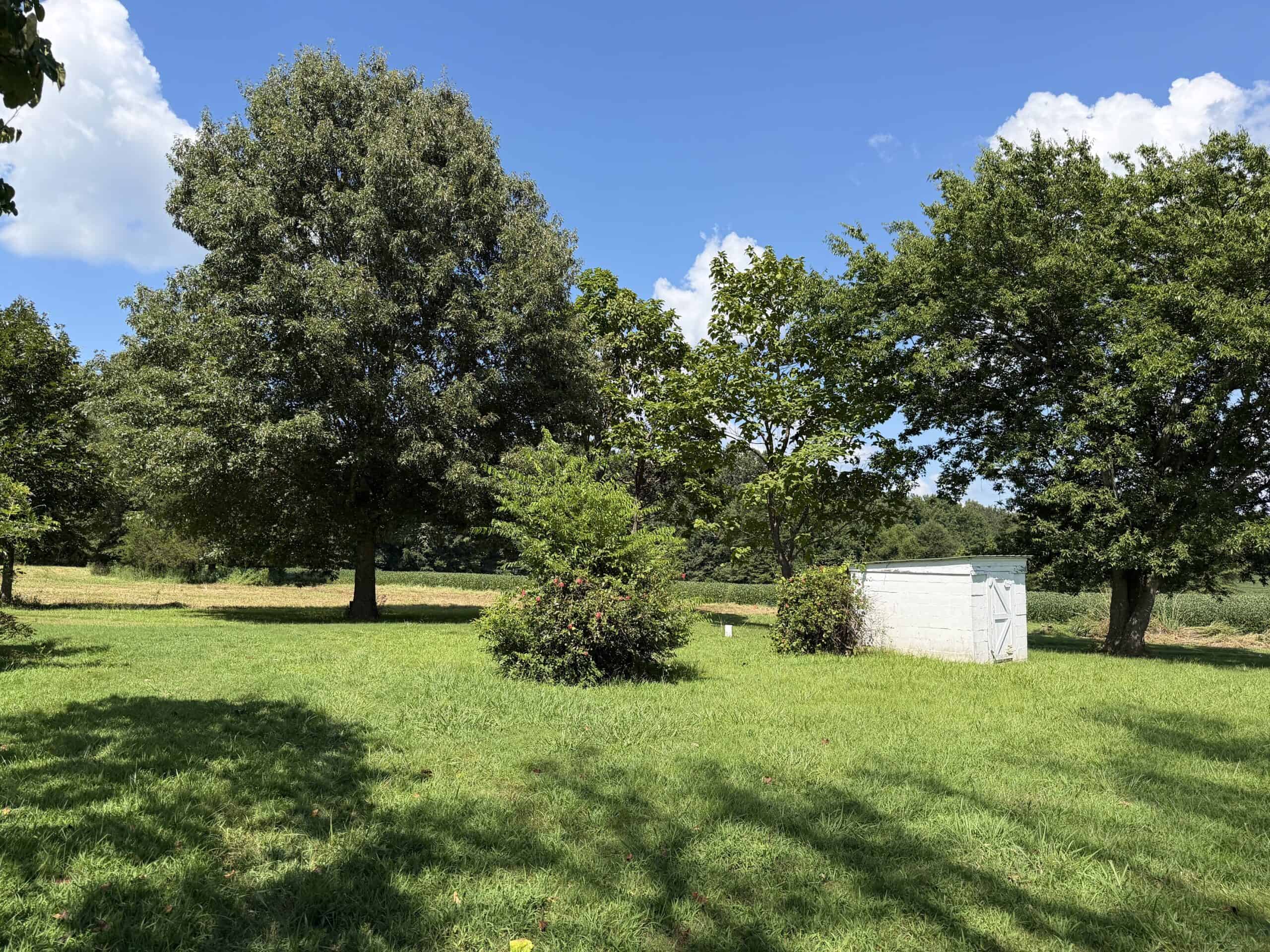 ESTATE FOR SALE IN TN, 56 AC, DEER & TURKEY HUNTING, CREEK, FIELDS, BARN