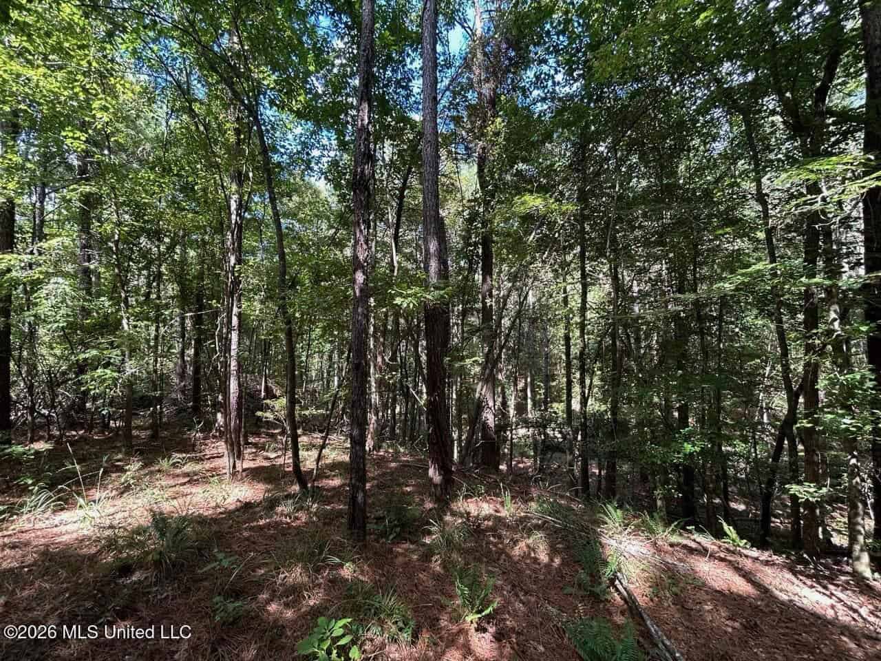 FRANKLIN COUNTY LAND FOR SALE NEAR McCALL CREEK