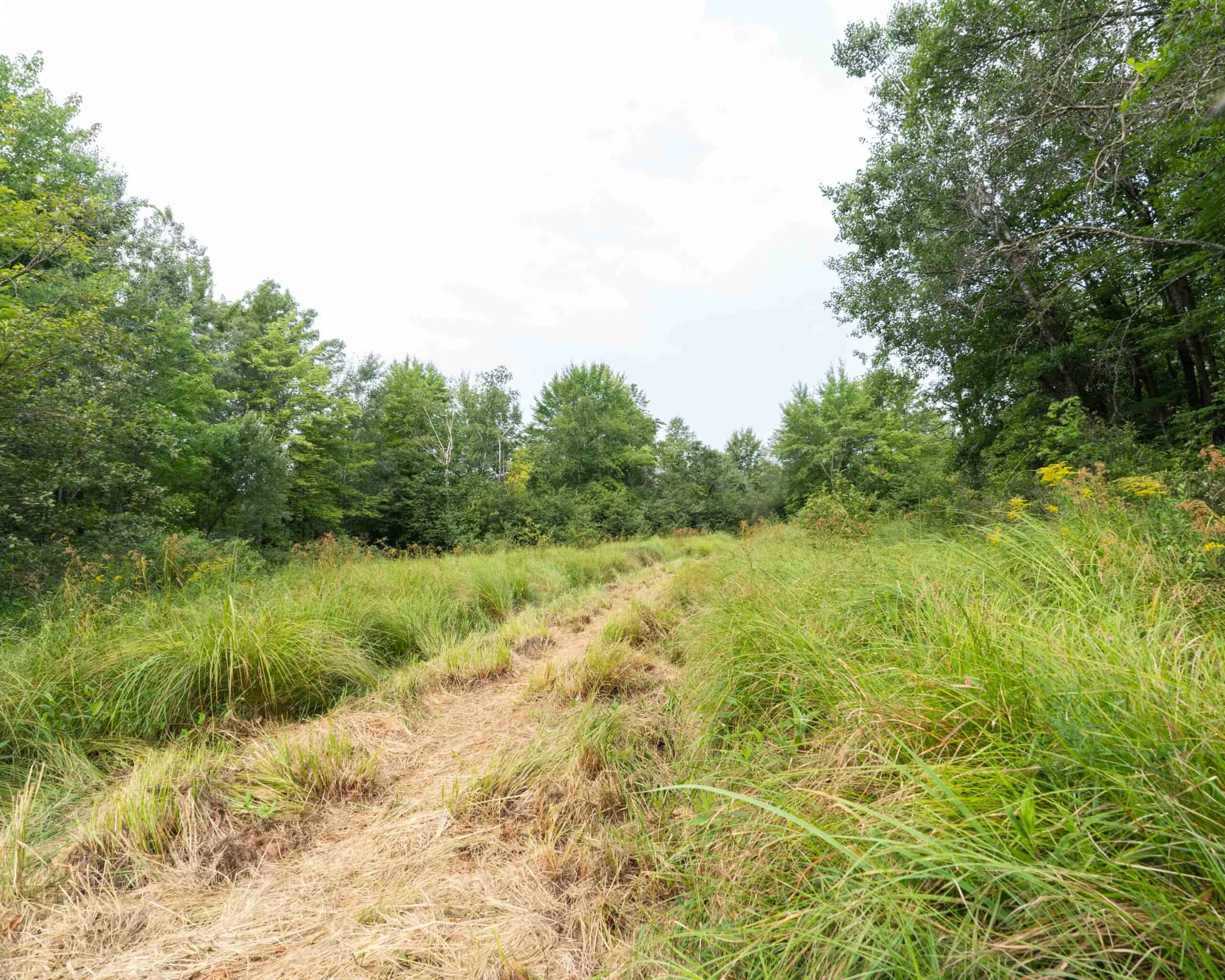 Juneau County WI 80 Acre Camp For Sale