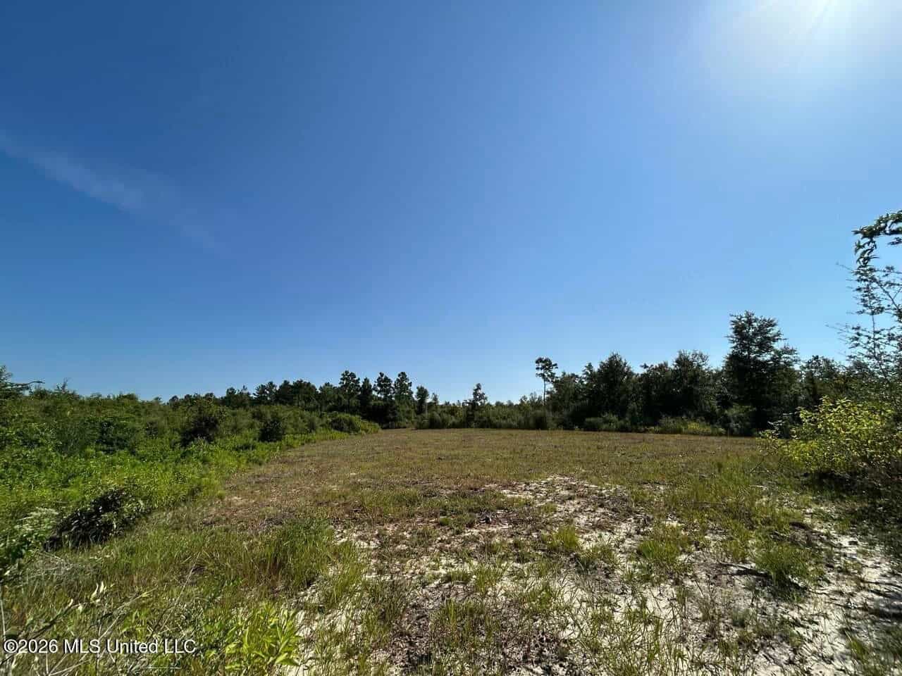 50± Acre Homesite & Hunting Land in Plainview, LA