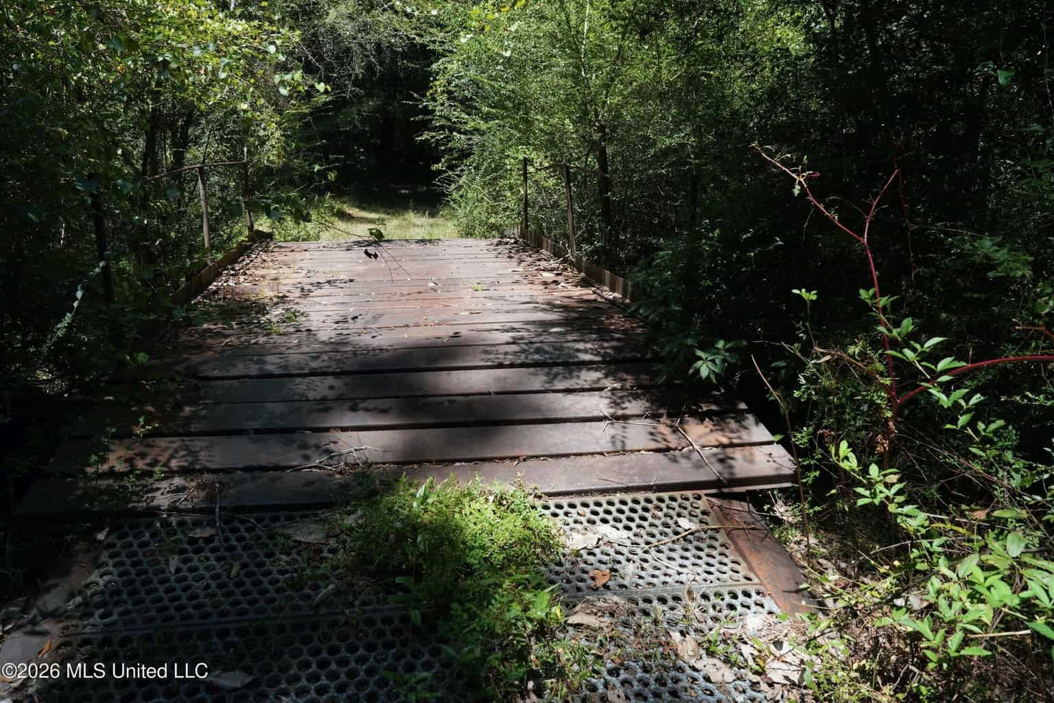 150 Acres for Sale in Magnolia MS on Tangipahoa River