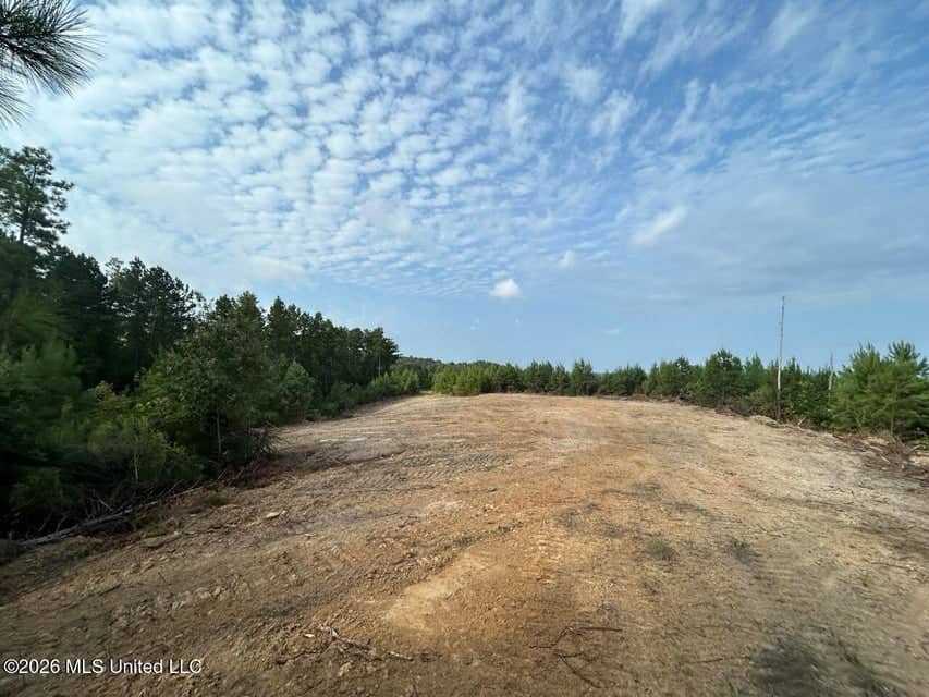 90± Acre Hunting Tract for Sale in Meadville, MS