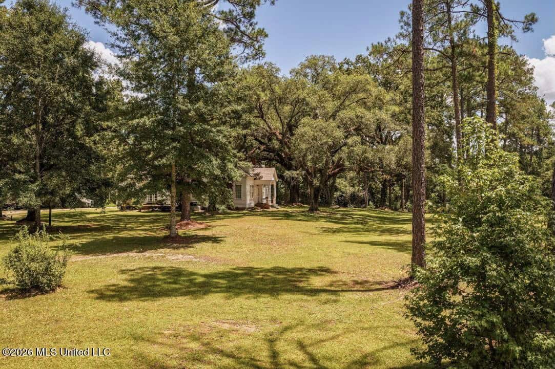 20 Acres for Sale Magnolia MS with Barn & Mature Timber