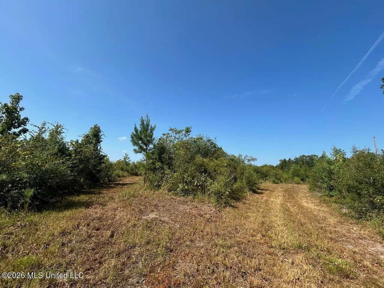 42± Acre Homesite & Hunting Land in Plainview, LA