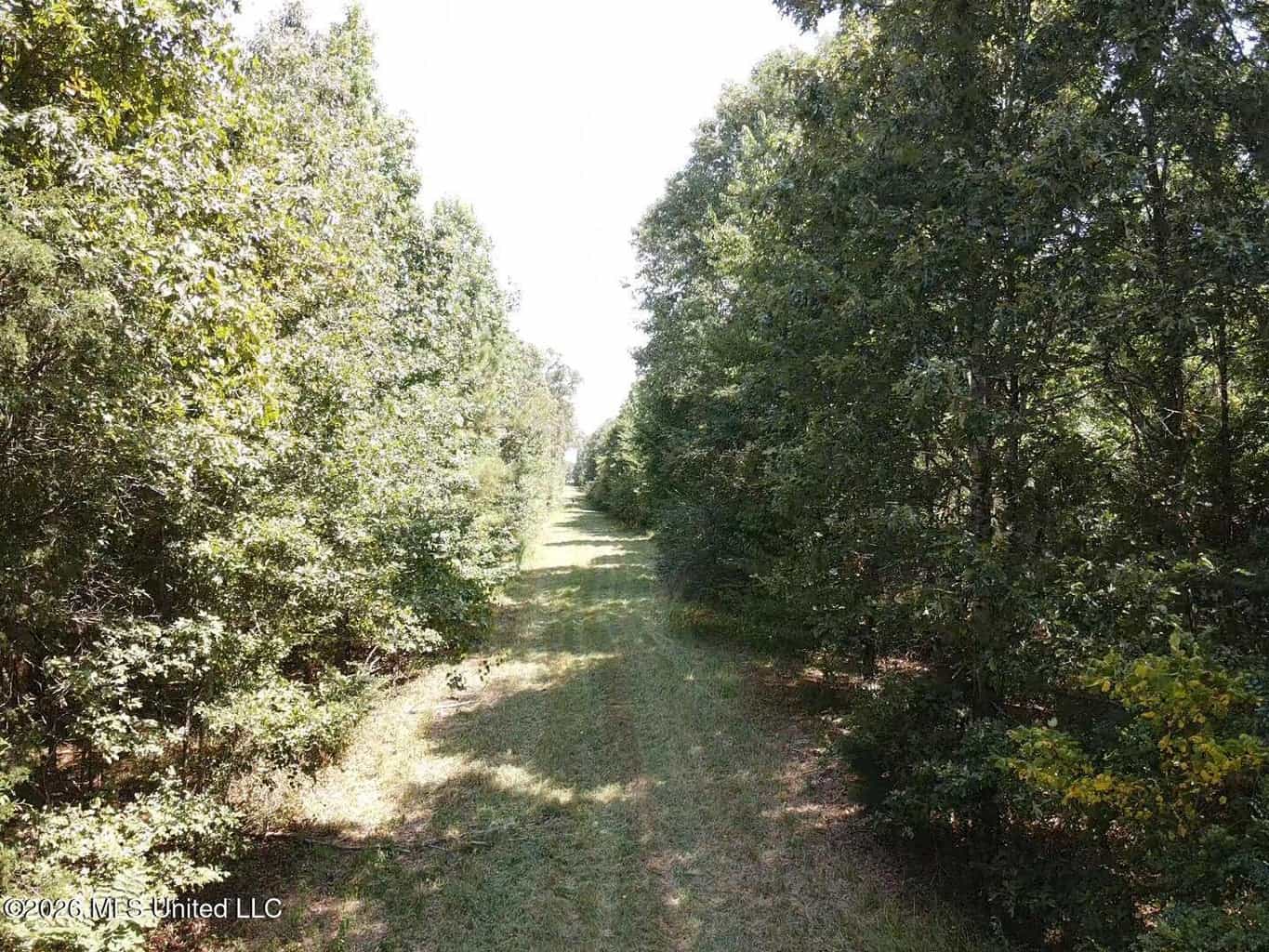 81-Acre Timber Property on 20-Acre Lake in Vaughan, MS