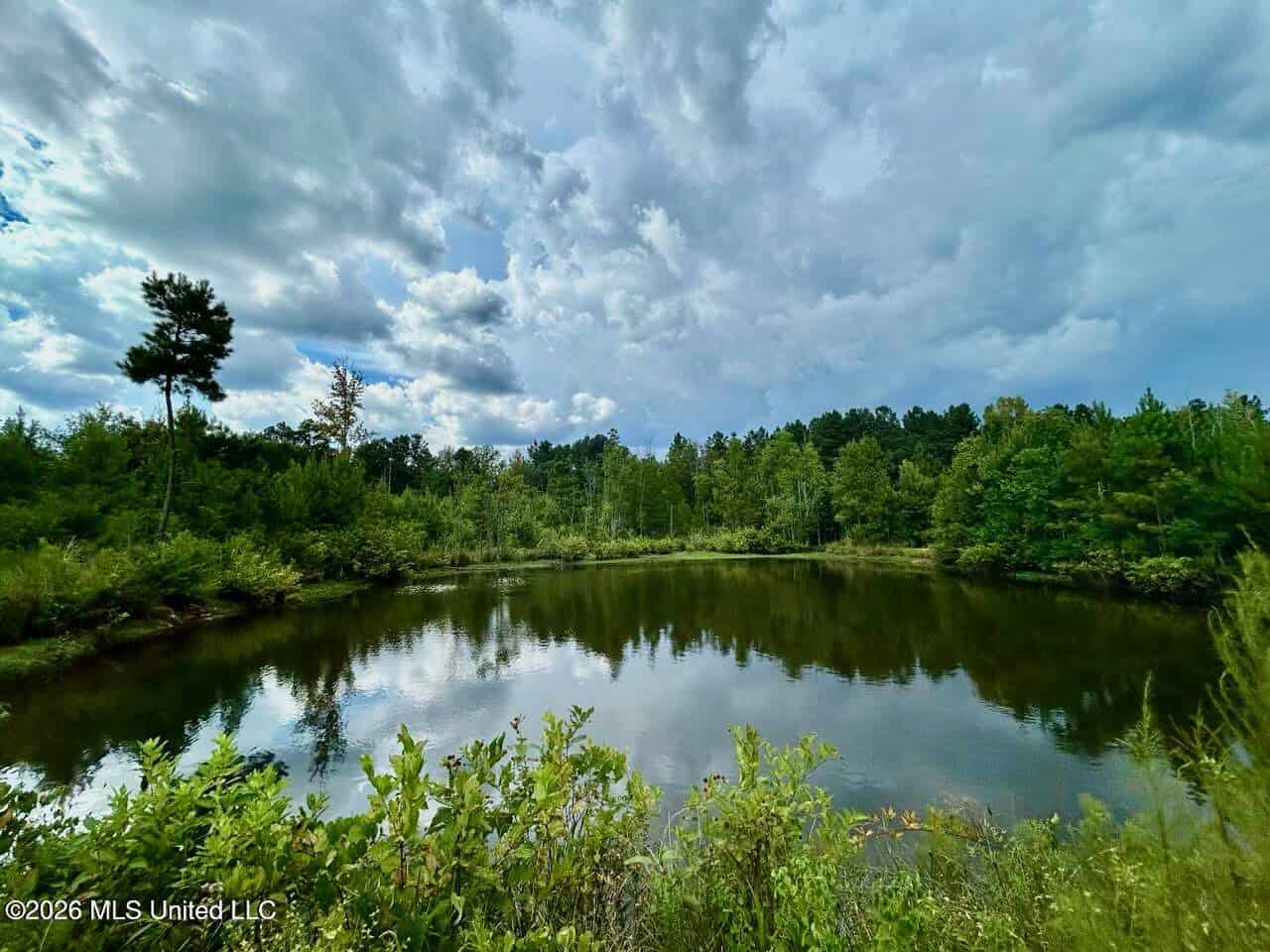 85± Acre Turnkey Hunting Property in Amite County, MS