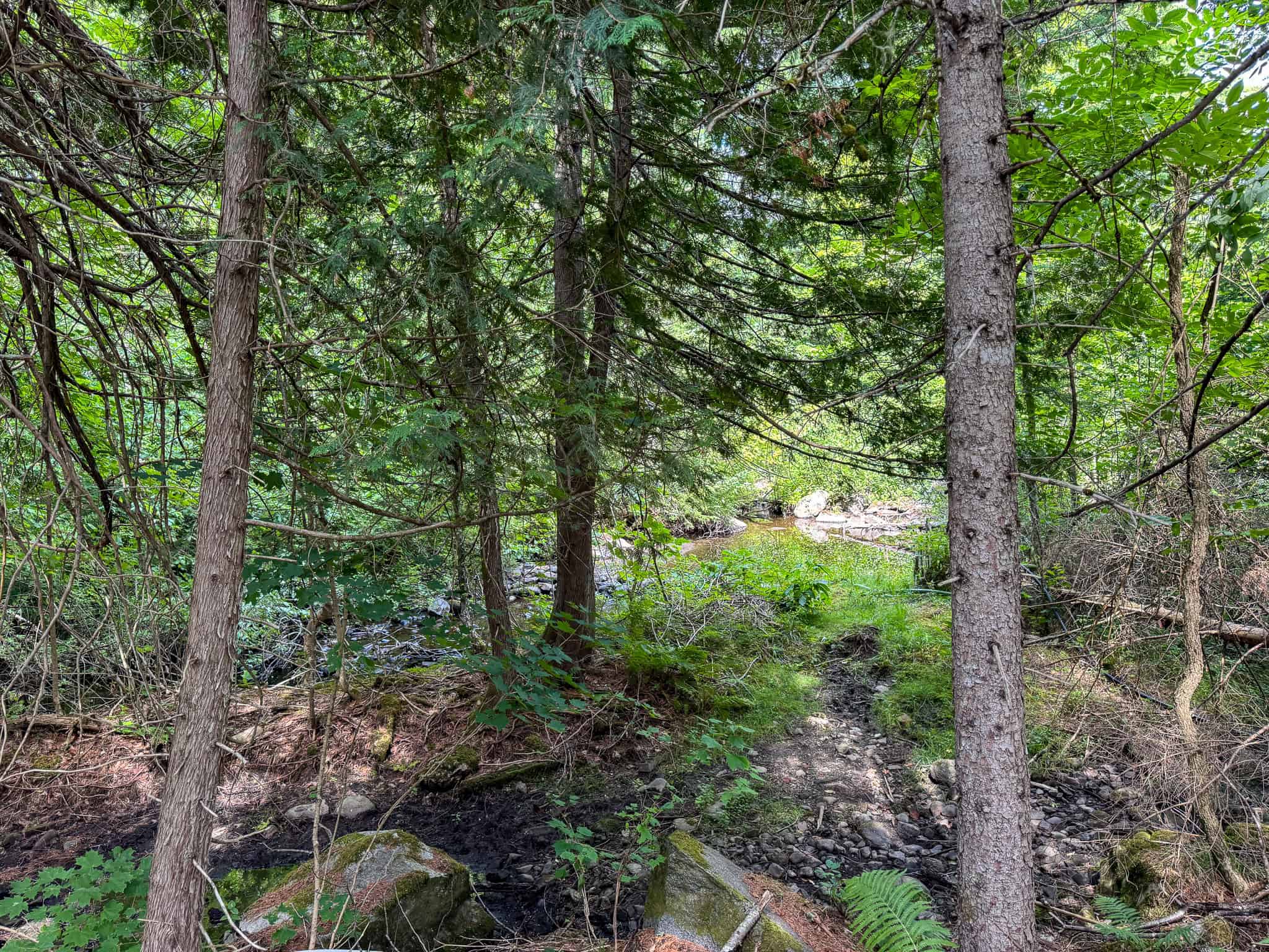 42.5 Acre Off-Grid Get Away – Springfield, Maine