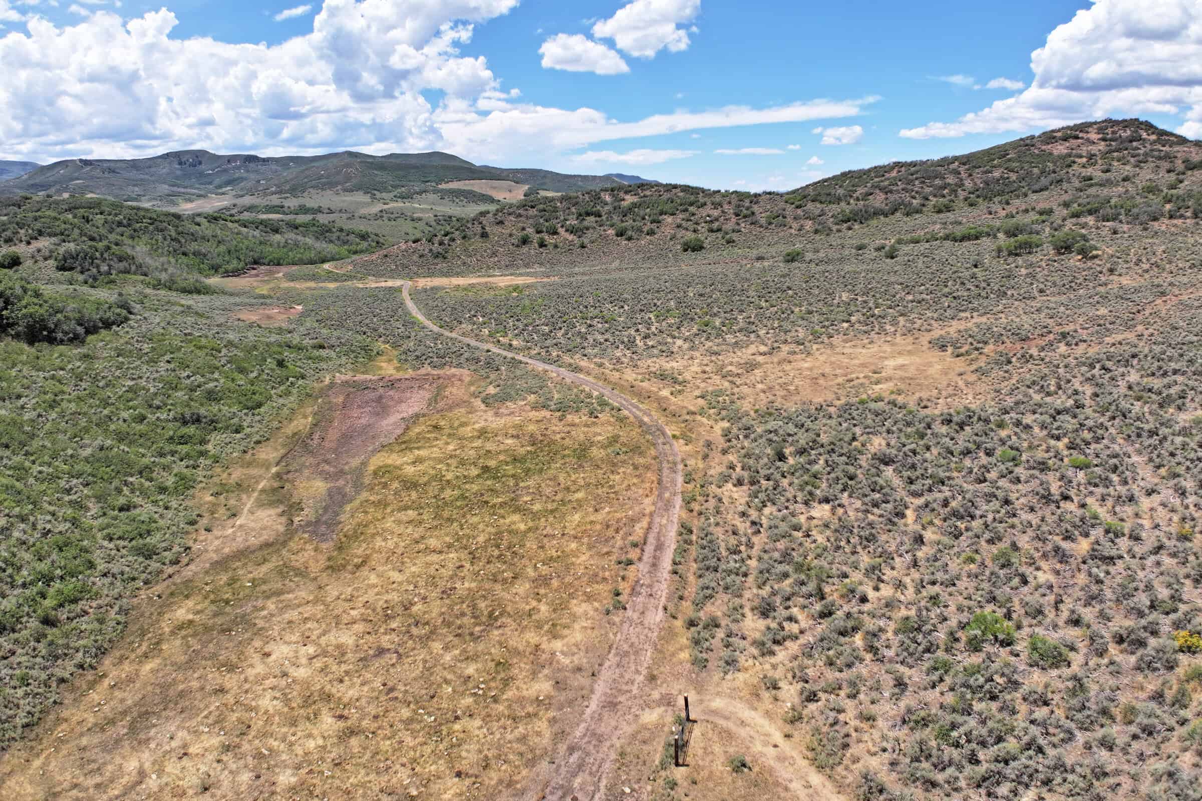 35 Acres Borders Public Land near Collbran, CO
