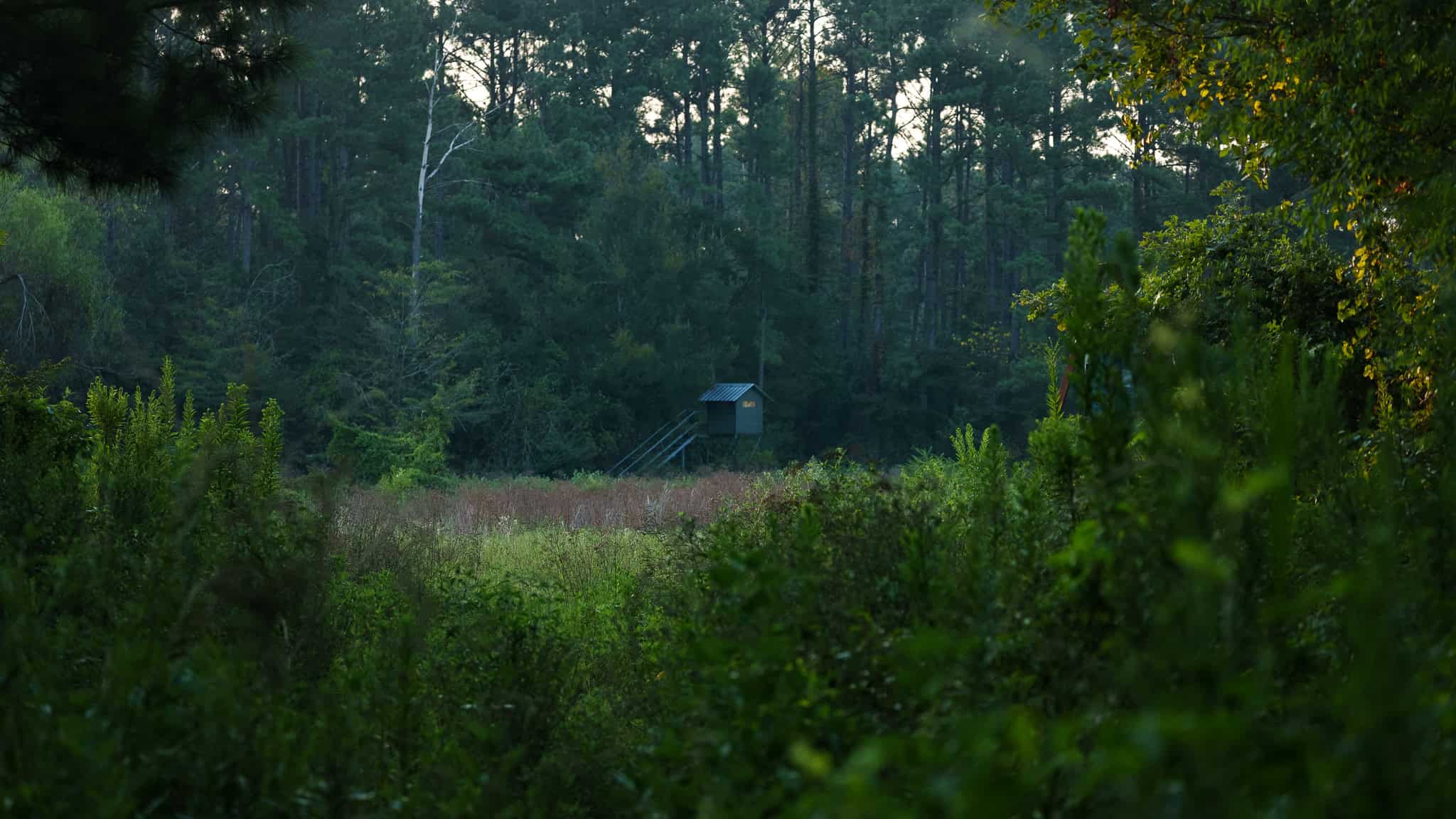 East TX Hunting Land for Sale | 327 Acres | River & Duck Slough | Laneville TX