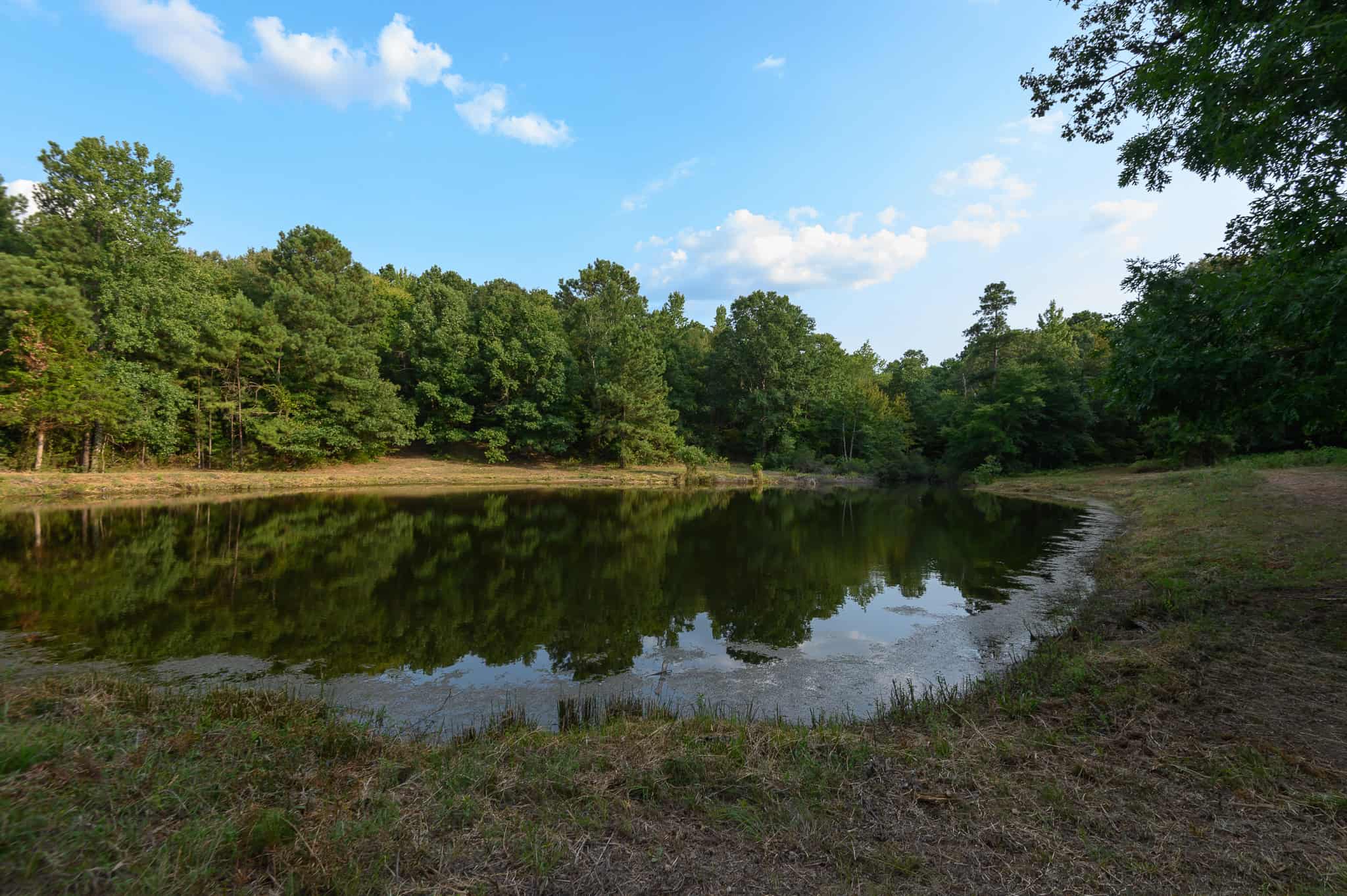 East Texas Hunting & Timber Land for Sale in Smith County