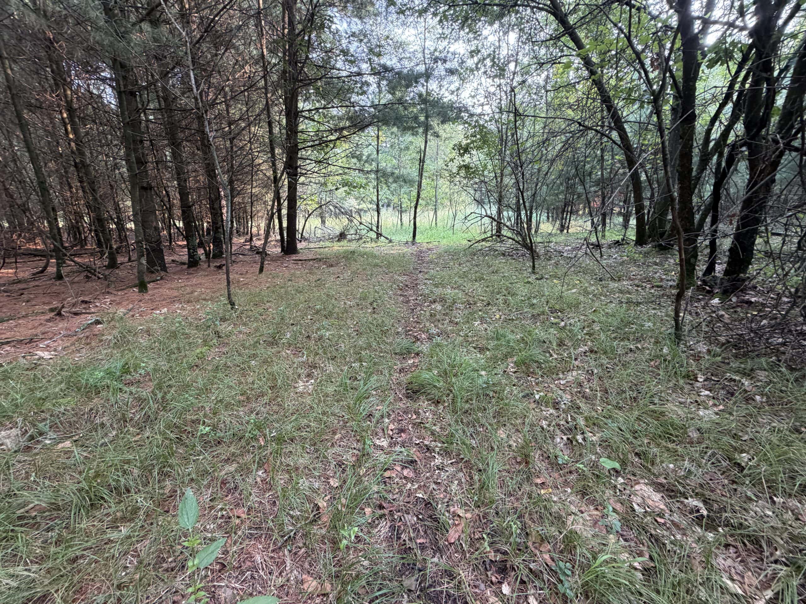 Rare opportunity to own 17.54 wooded acres within the City of Adams