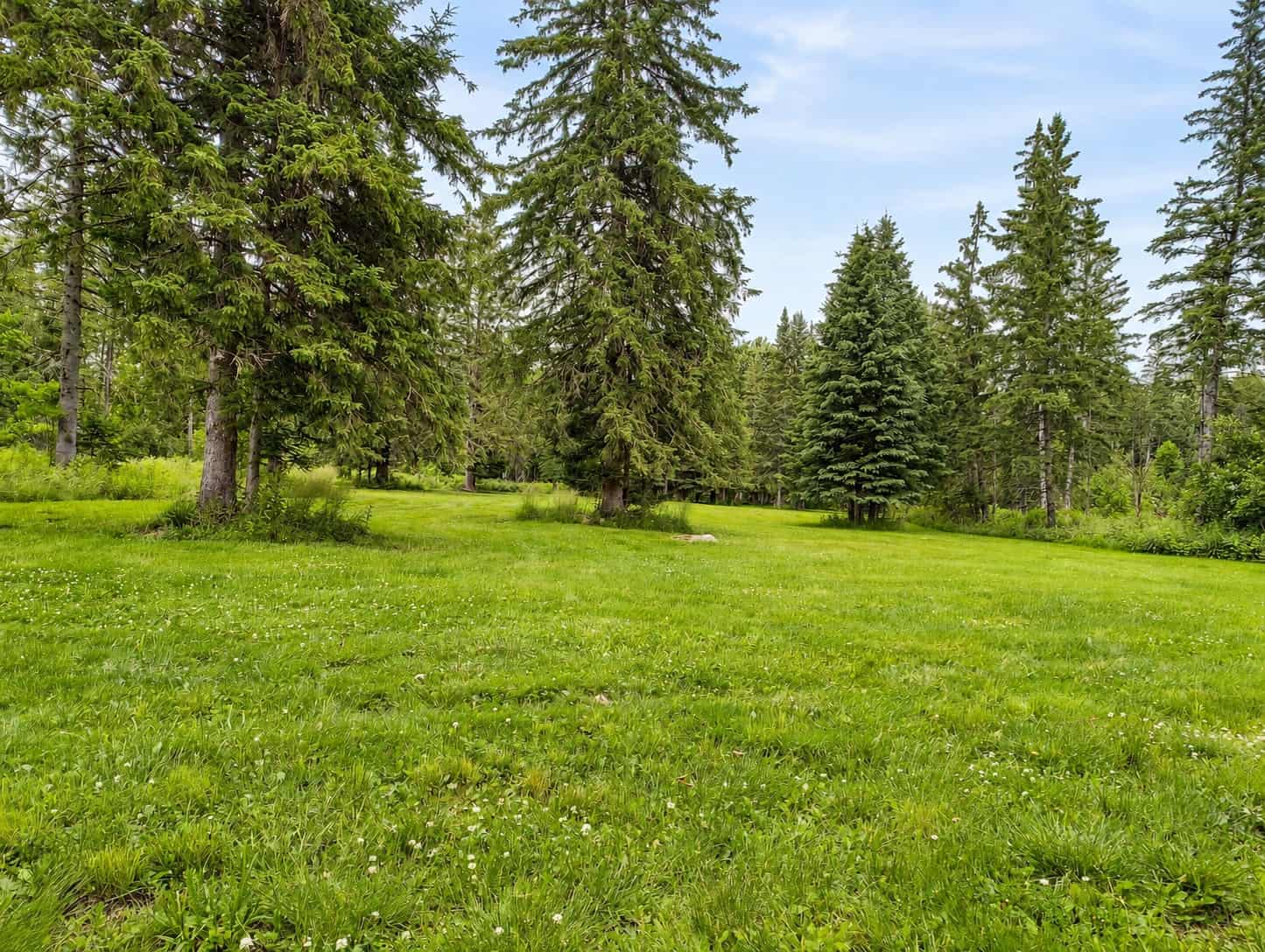 80± Acre Hunting Retreat for Sale in Butternut, WI