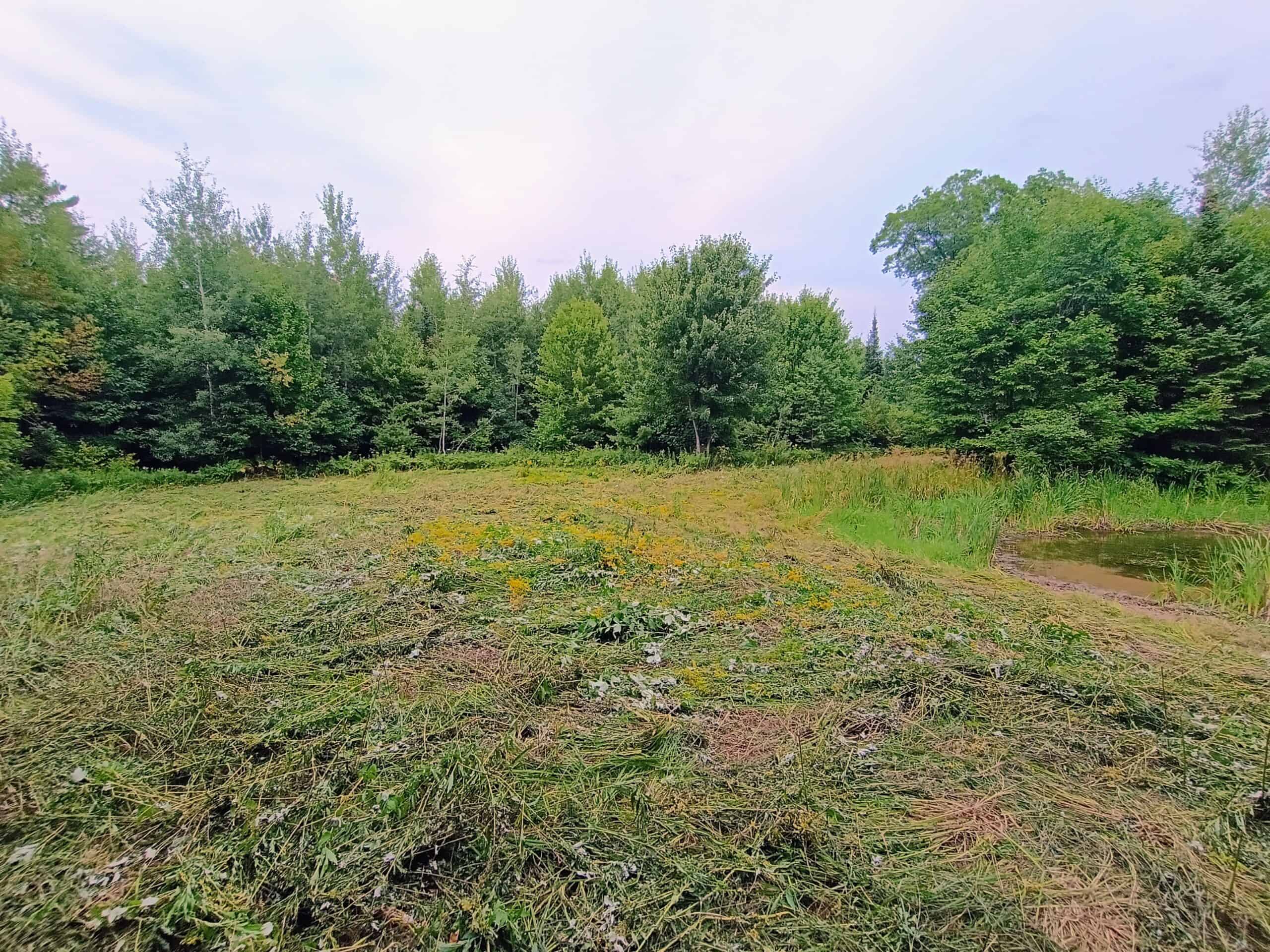 280 ± Acres Near Butternut Lake, WI Recreational Land