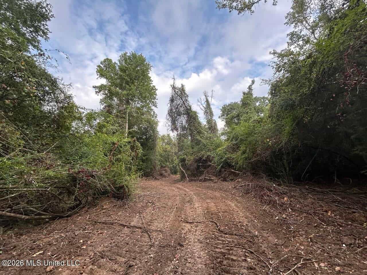 82± Acre Hunting Property in Wilkinson County, MS