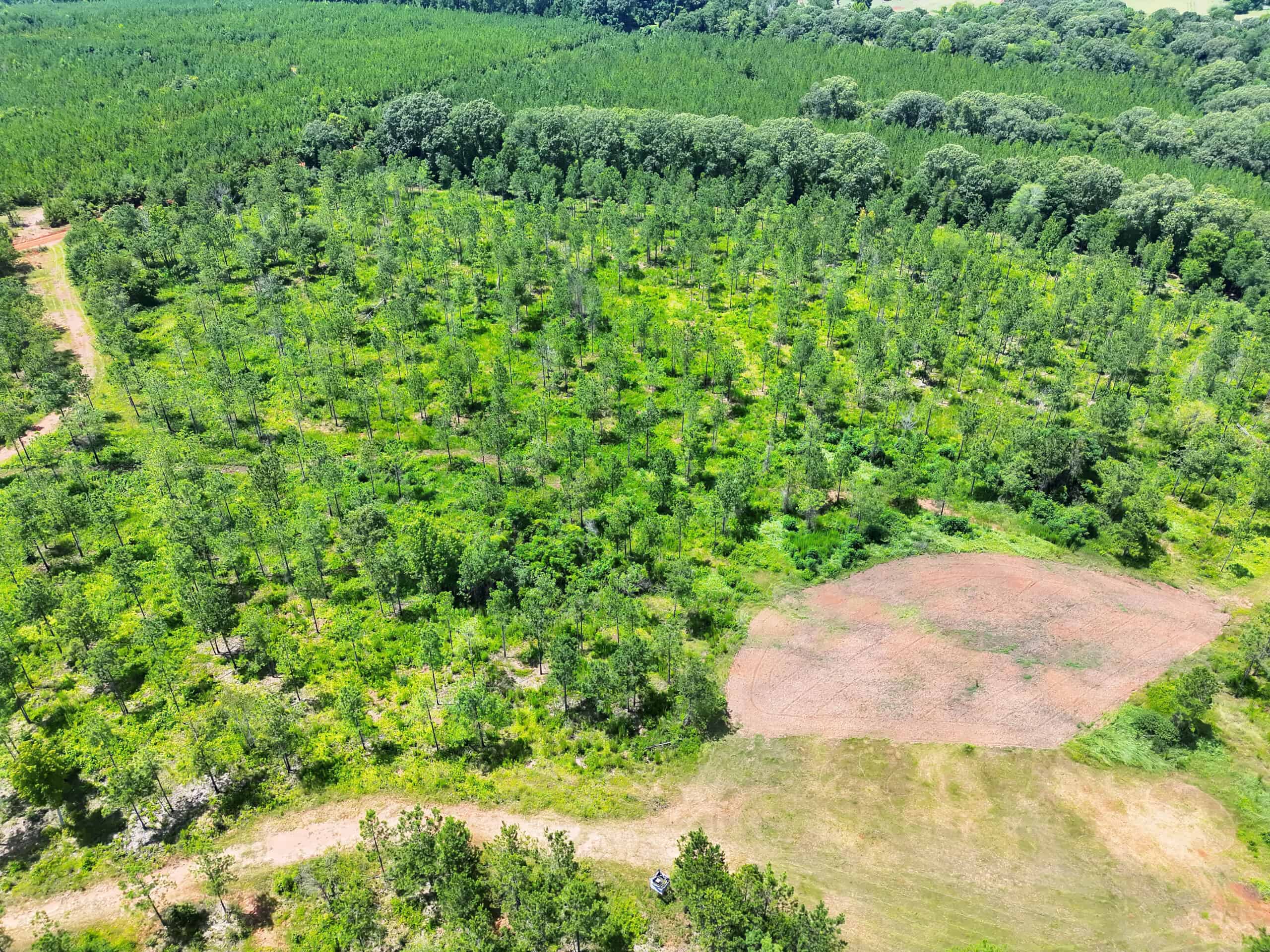 Discover an outstanding 130-acre recreational and hunting property in Stewart Cty