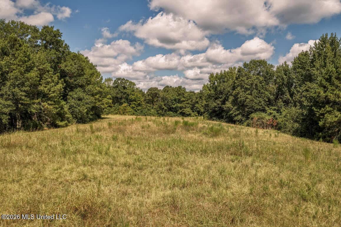 HWY 49 Land for Sale Simpson County, MS