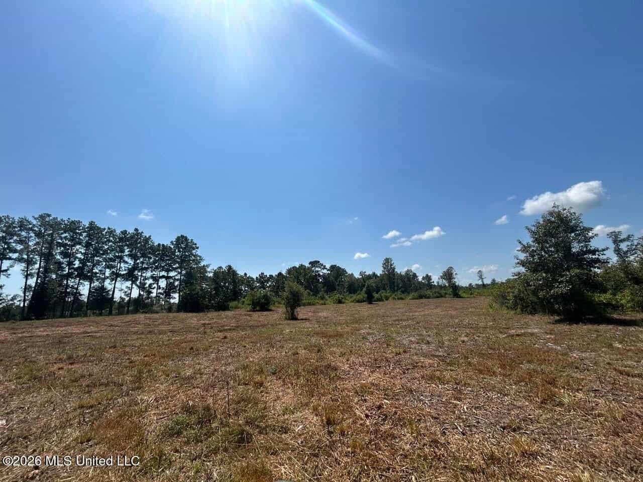 147± Acre Hunting Property in Plainview, LA