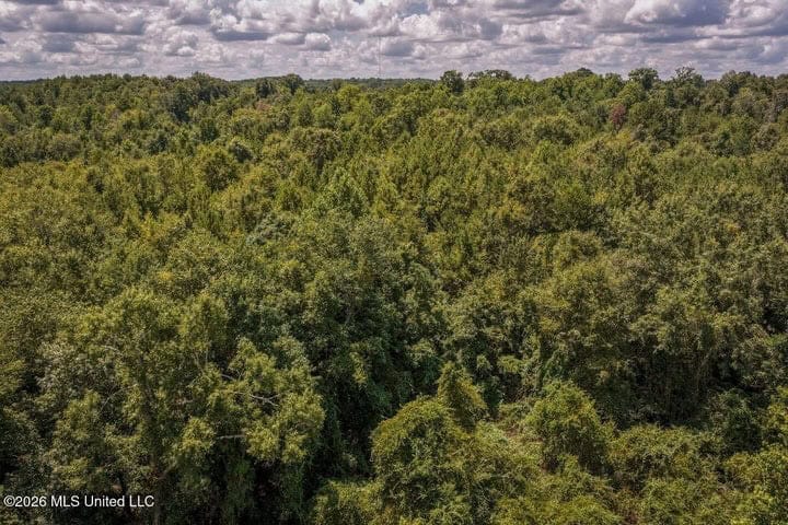 31 Acres for Sale Near Collins MS | Mature Timber & Hunting