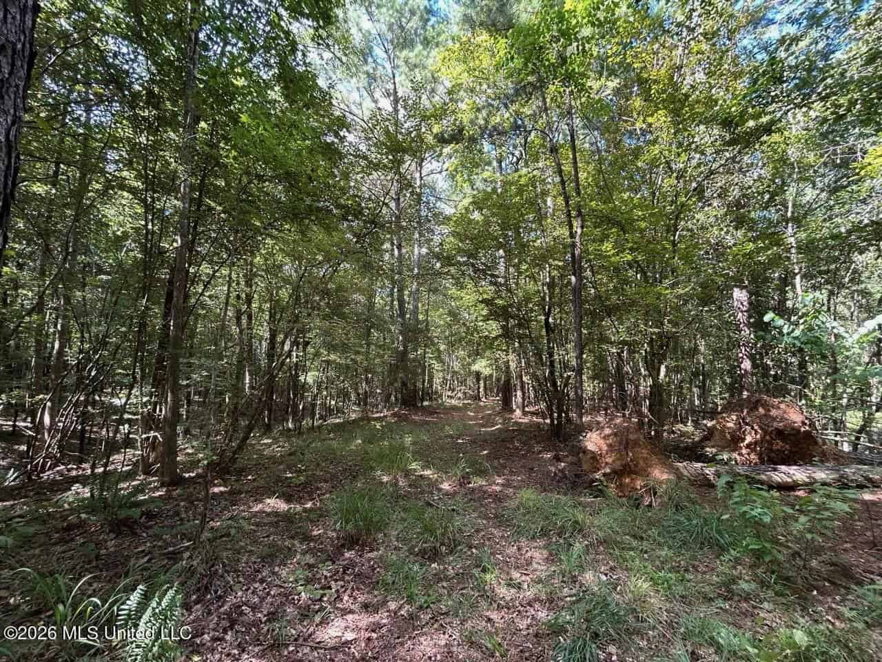 FRANKLIN COUNTY LAND FOR SALE NEAR McCALL CREEK