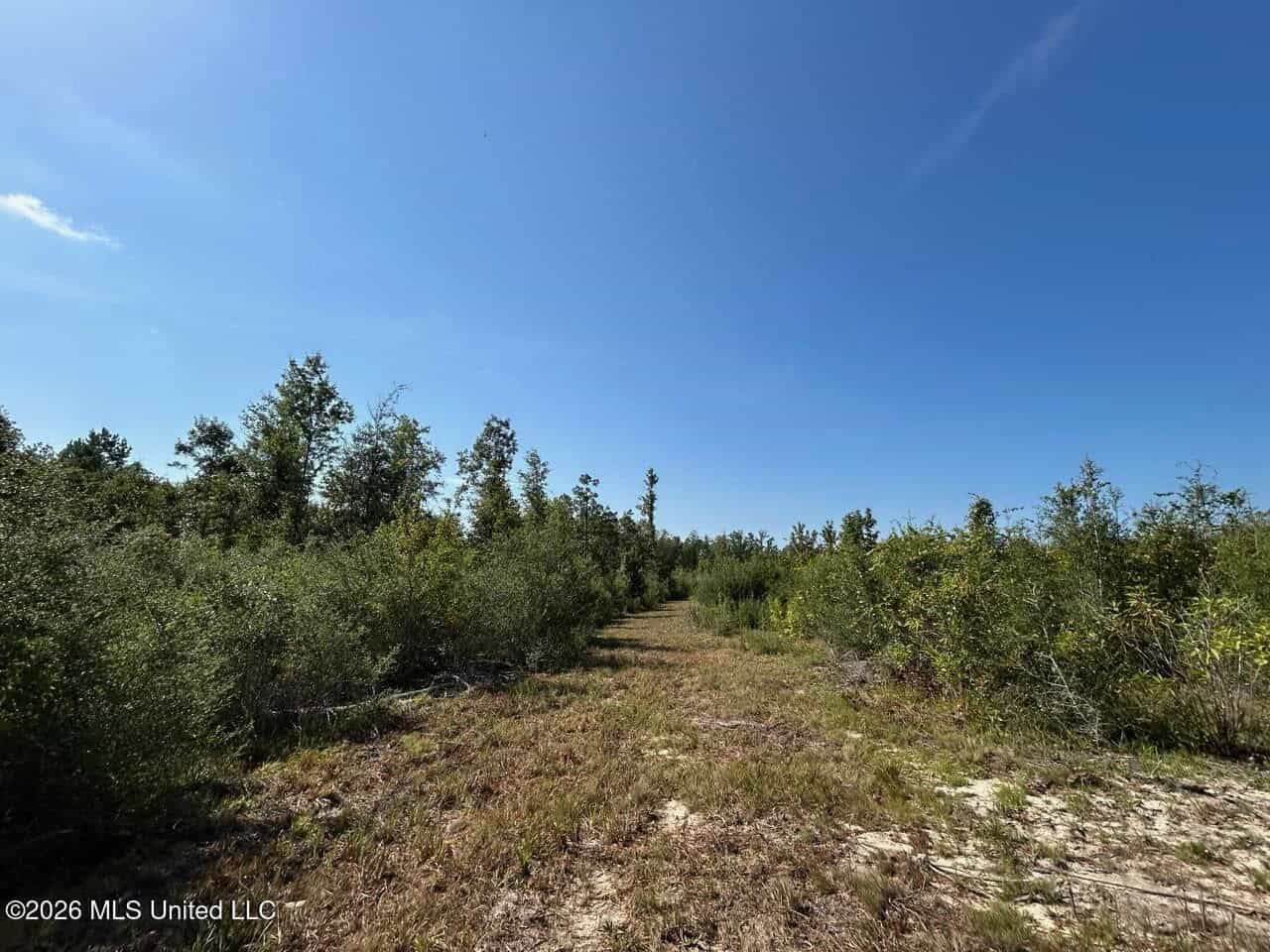 50± Acre Homesite & Hunting Land in Plainview, LA