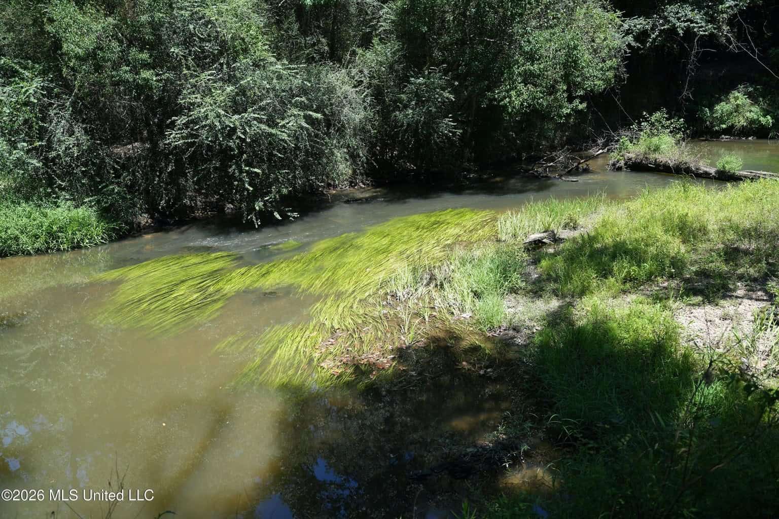 150 Acres for Sale in Magnolia MS on Tangipahoa River