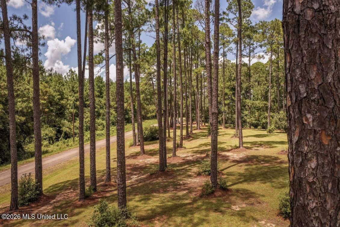 20 Acres for Sale Magnolia MS with Barn & Mature Timber