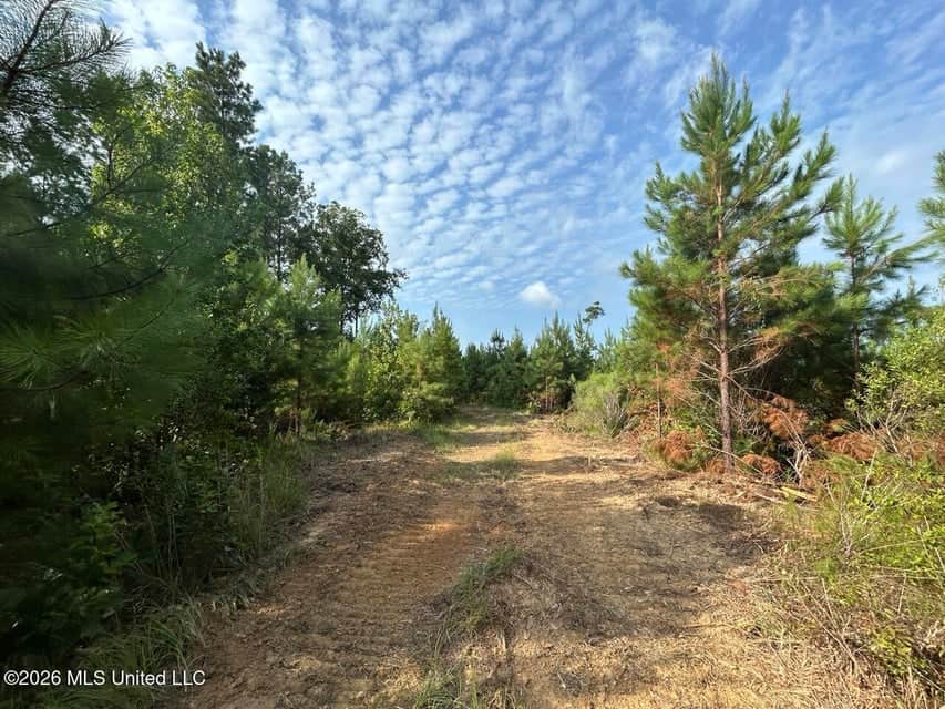 90± Acre Hunting Tract for Sale in Meadville, MS