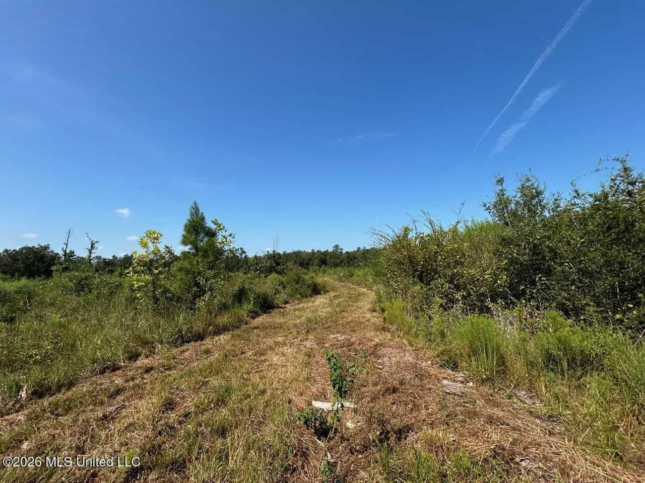 42± Acre Homesite & Hunting Land in Plainview, LA