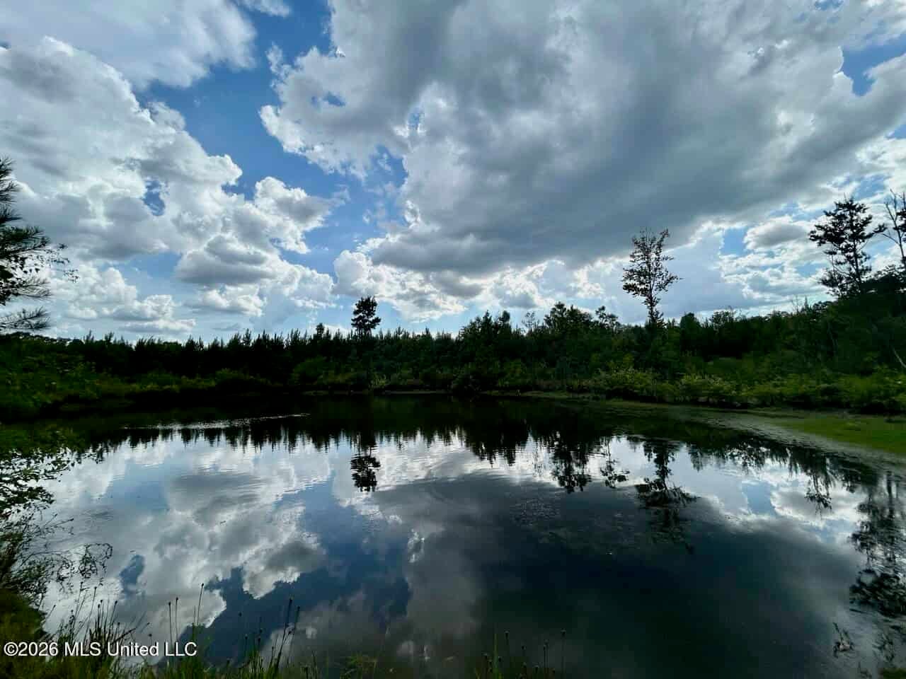 85± Acre Turnkey Hunting Property in Amite County, MS