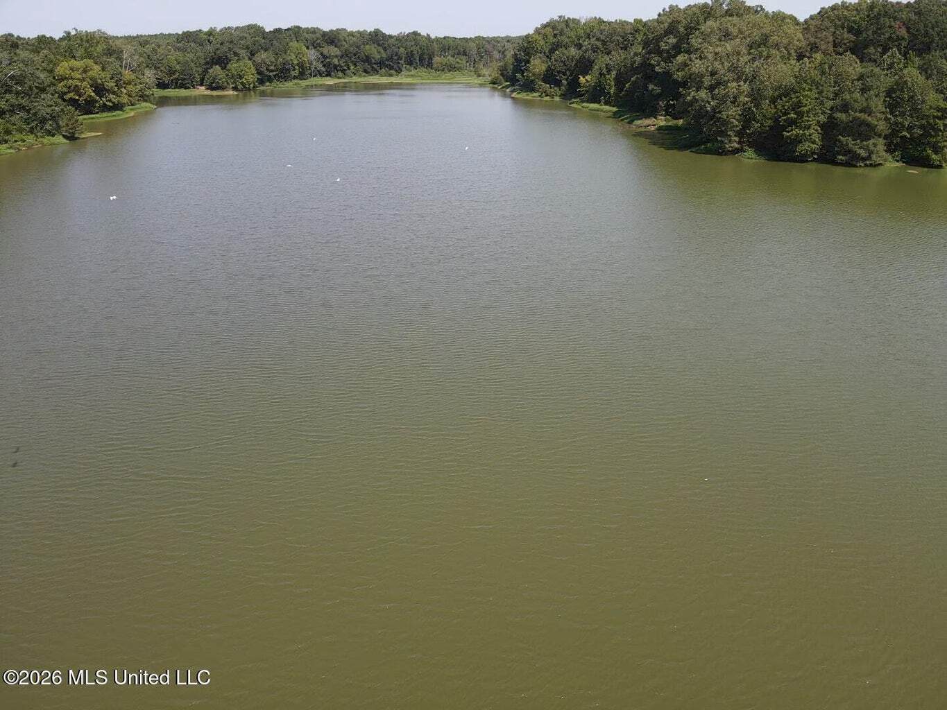 81-Acre Timber Property on 20-Acre Lake in Vaughan, MS