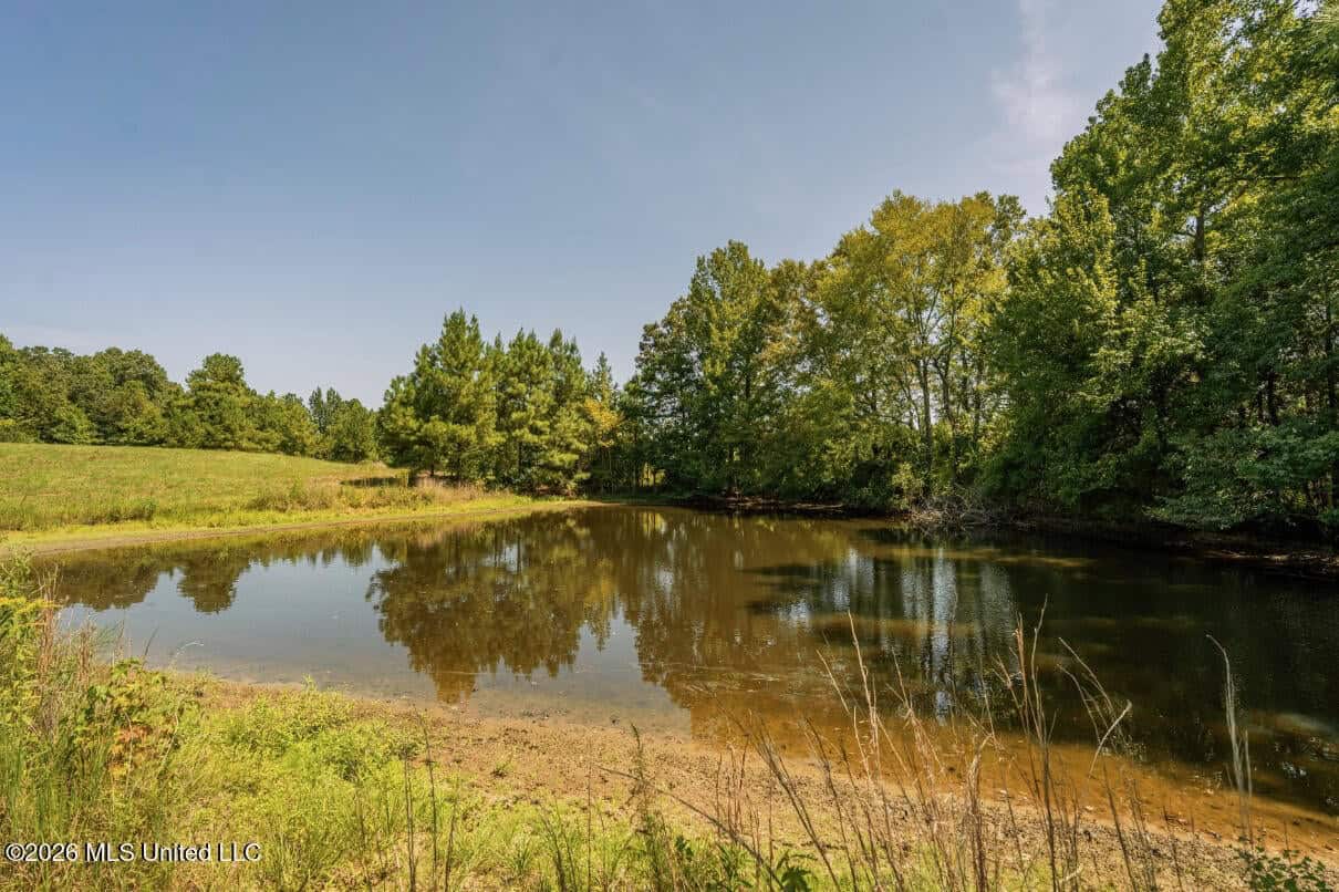 52.25± Acres in Copiah County, MS Near Hazlehurst